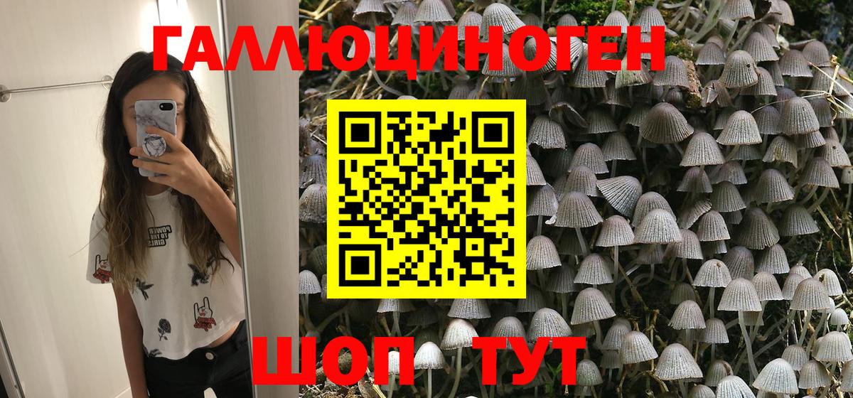 Новодвинск  Галлюциногенные грибы прущие грибы  Вход с VPN  Галлюциногенные грибы прущие грибы 