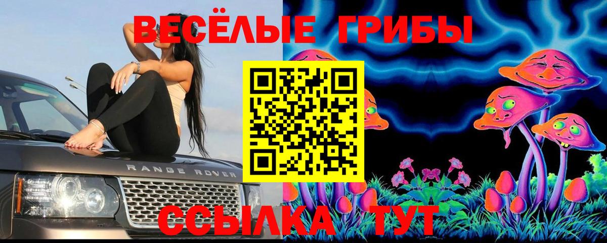 Новодвинск  Вход с VPN  Мефедрон   Гашиш  Альфа ПВП СОЛЬ   МЕТАМФЕТАМИН  Гашиш  Канабис  Кокаин 
